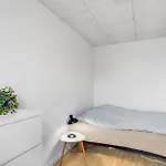 Apartament Stunning In With Wifi *